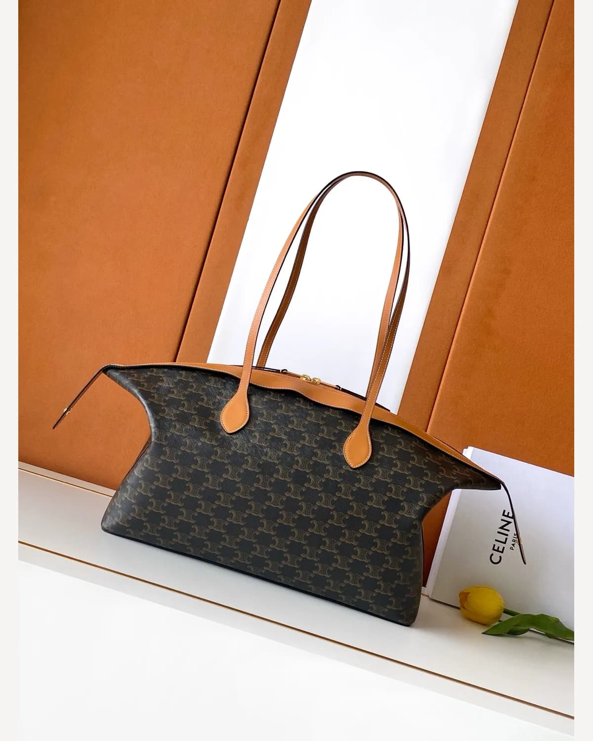 Celine Triomphe Canvas Tote
