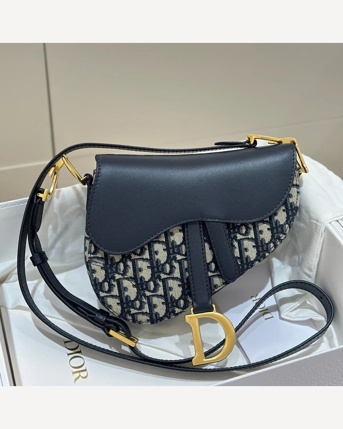 Dior Saddle — Oblique Canvas